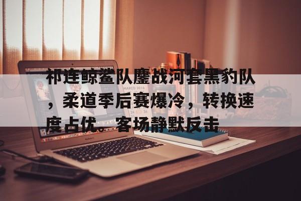 九游娱乐入口关于祁连鲸鲨队鏖战河套黑豹队，柔道季后赛爆冷，转换速度占优。客场静默反击的信息